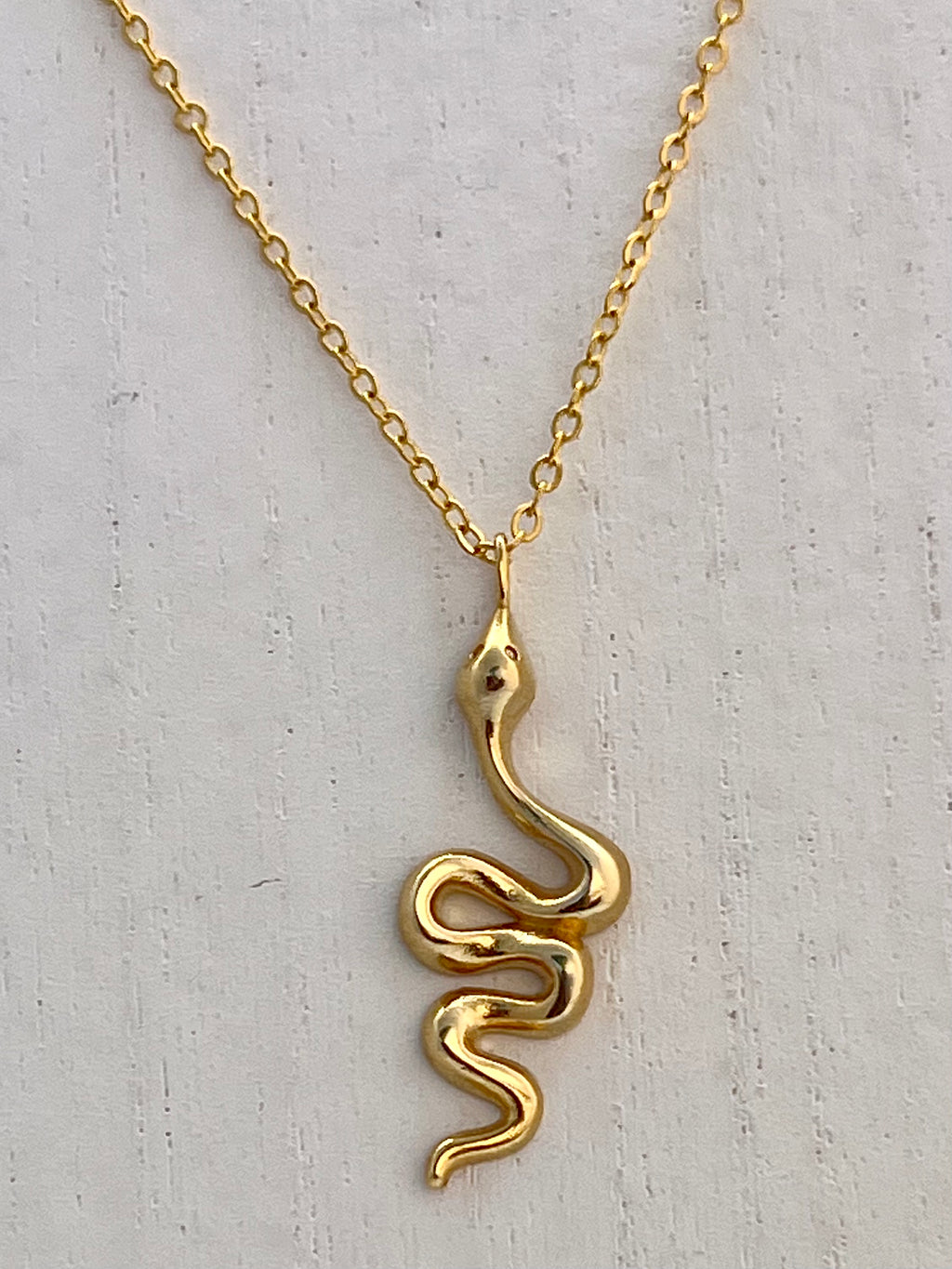 Protector Necklace